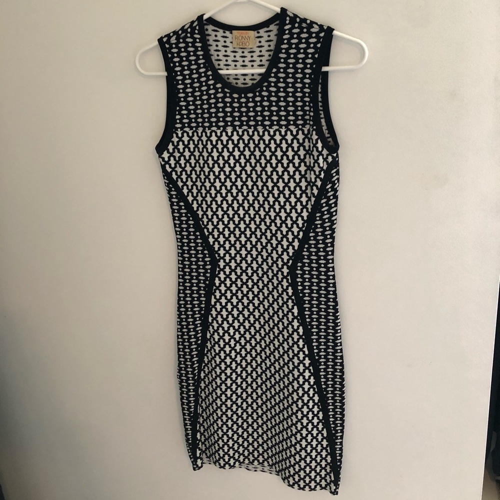 Ronny Kobo Dress - Picture 2 of 4